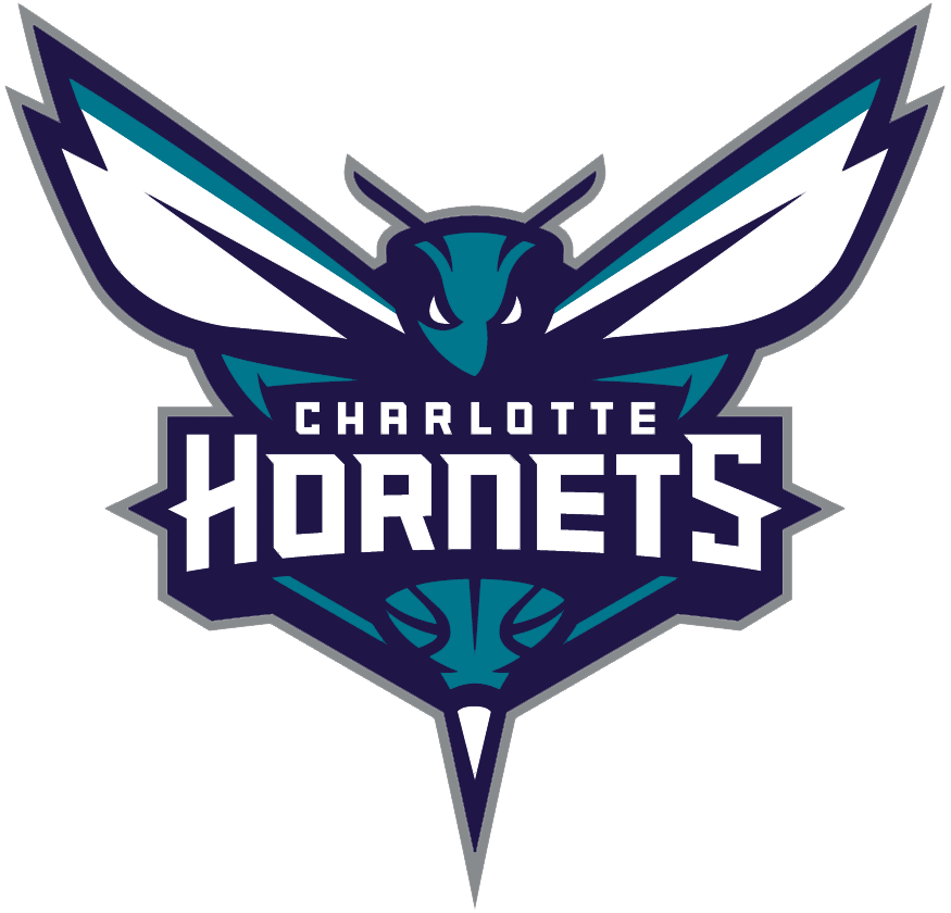 Charlotte Hornets 2014-Pres Primary Logo DIY iron on transfer (heat transfer)
